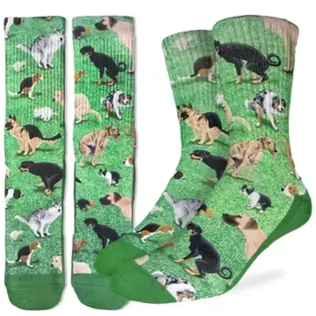 Doggone Fun: Men's Pooping Socks!