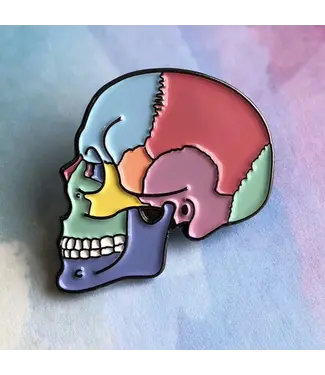 Rad Girl Creations Textbook Anatomy Skull Pin