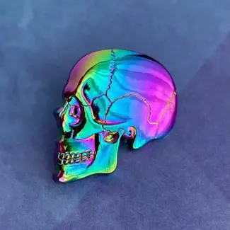 Rad Girl Creations 3D Textbook Anatomy Skull Pin - Rainbow Anodized