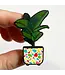 Pin Your Plant Passion!