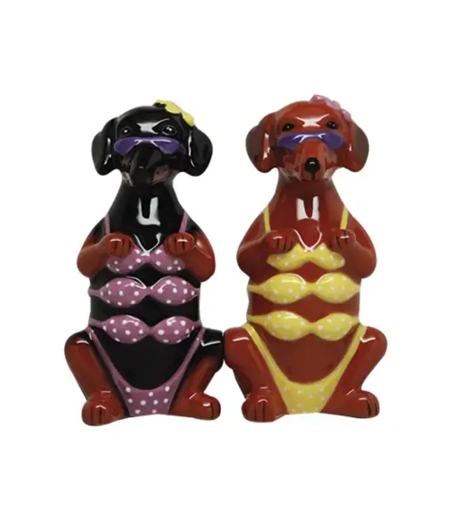 Bikini Hotties Salt and Pepper Shakers