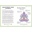 Chakra Healing Crystals Set And Guidebook