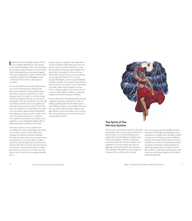 Art And Practice Of Spiritual Herbalism