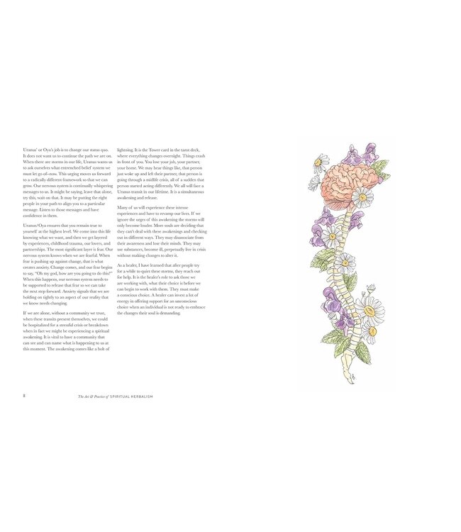 Art And Practice Of Spiritual Herbalism