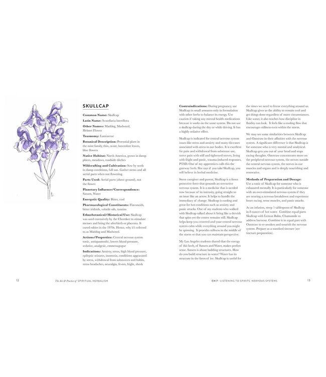 Art And Practice Of Spiritual Herbalism