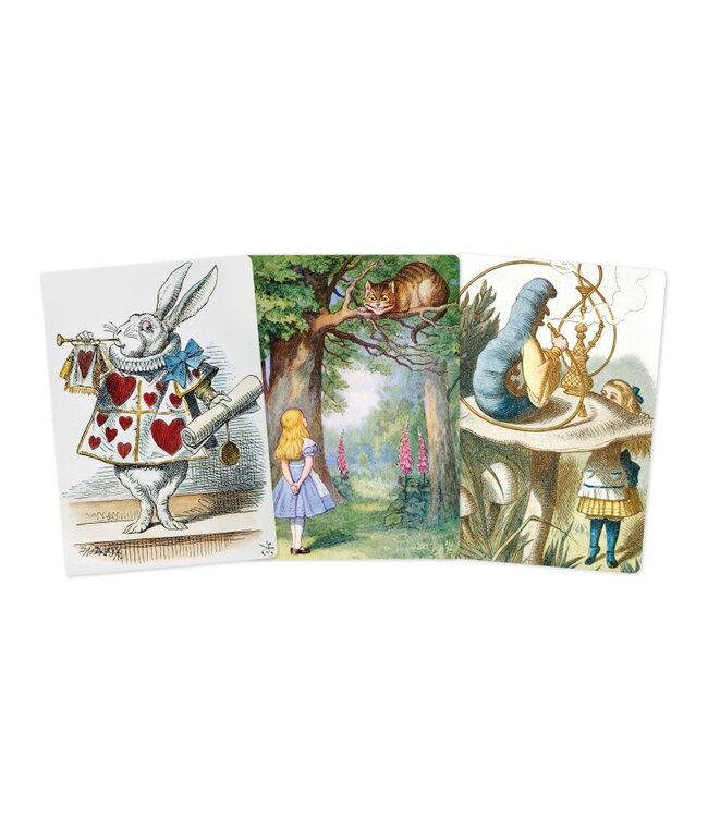 Alice In Wonderland Set Of 3 Midi Notebooks