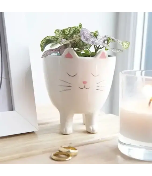 Standing Cat Planter
