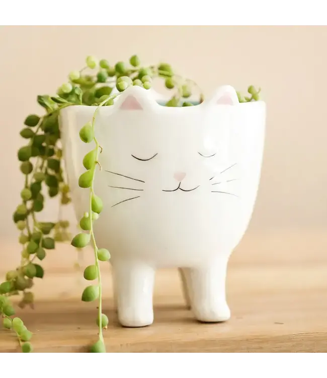 Standing Cat Planter