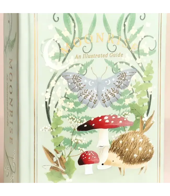 Read Between the Vases: The Woodland Book Vase