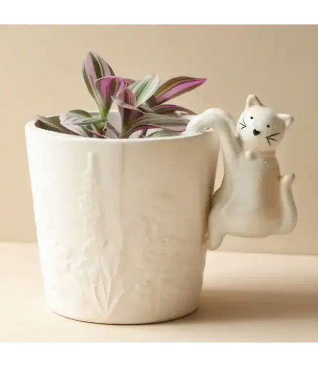 Purr-fectly Charming Cat Planter Hanger!
