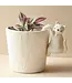 Purr-fectly Charming Cat Planter Hanger!