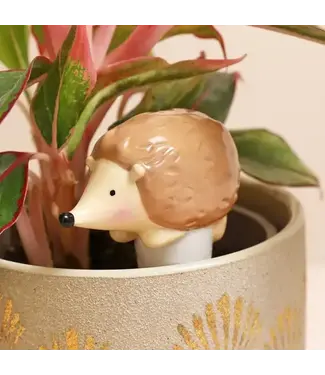 Lisa Angel Hedgehog Plant Watering Spike