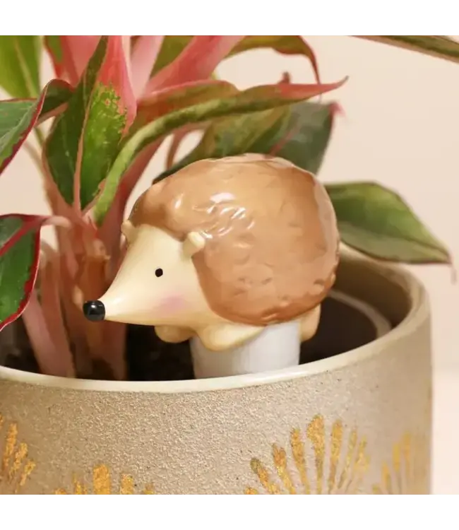 Hedge Your Bets: Cute Watering Spike for Happy Plants!