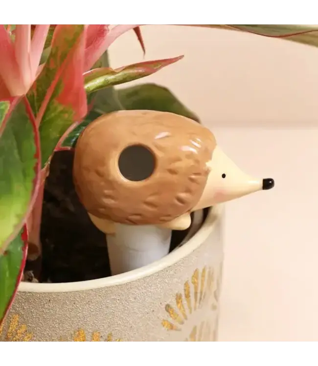 Hedge Your Bets: Cute Watering Spike for Happy Plants!