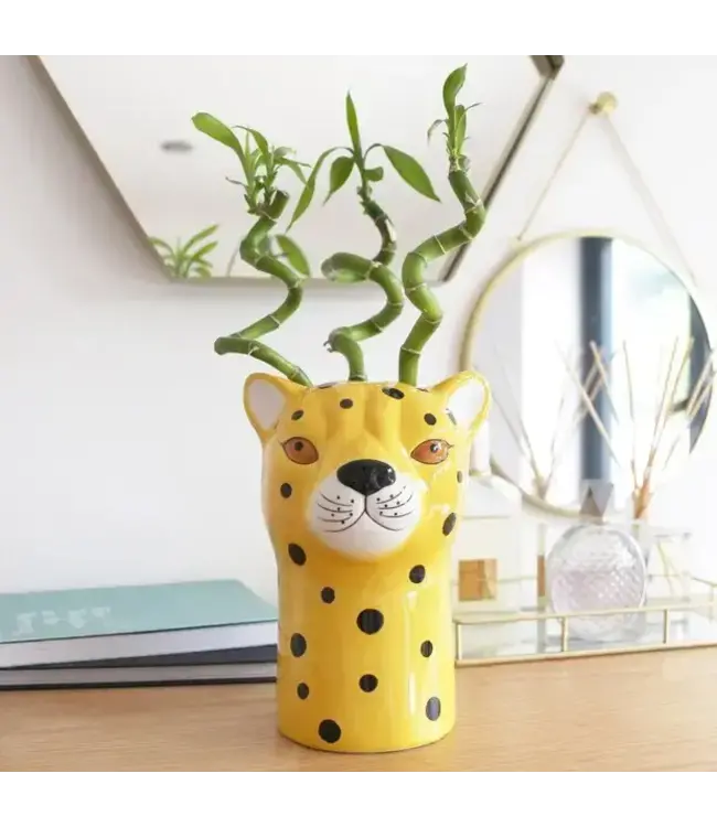 Prowl into Style: Ceramic Leopard Head Vase!