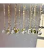 Zodiac Car Charm Suncatcher-