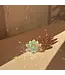 Lotus Light Bloom Desk Suncatcher