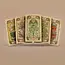 Nature's Secrets: Unveil Tarot with Botanica Oculta!