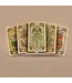 Nature's Secrets: Unveil Tarot with Botanica Oculta!