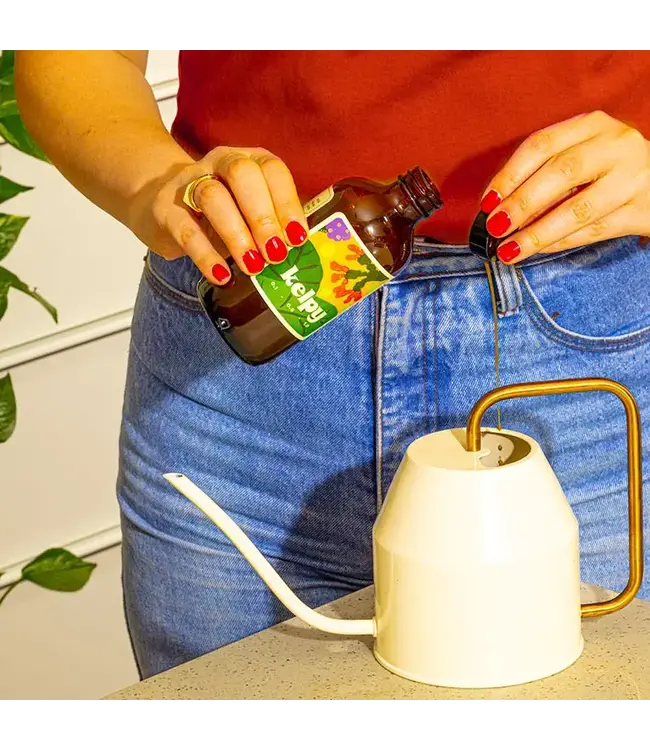 Kelpy Plant Food 250ml/ 8.5 Fl oz