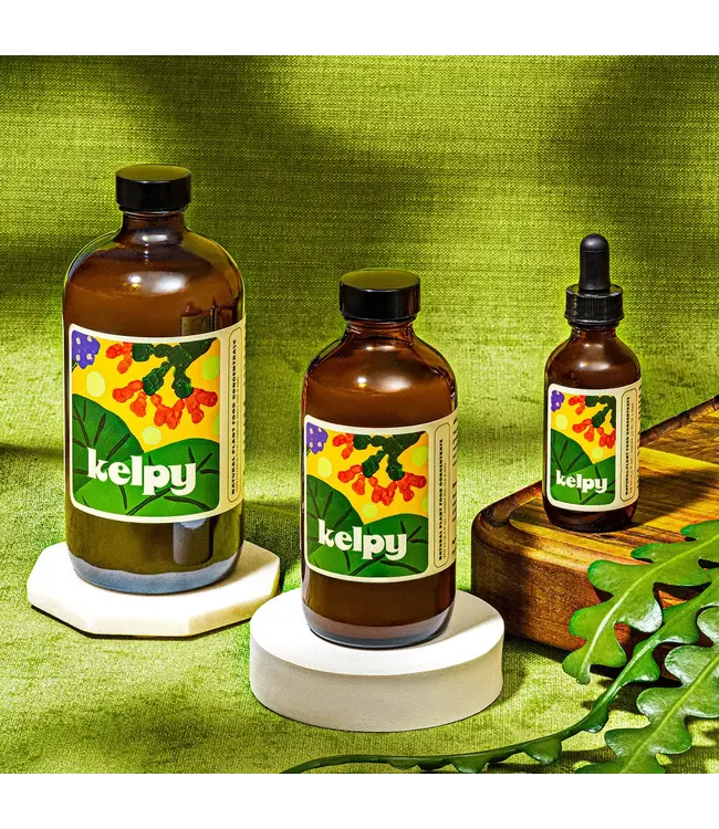 Kelpy: Ocean Magic for Your Indoor Garden