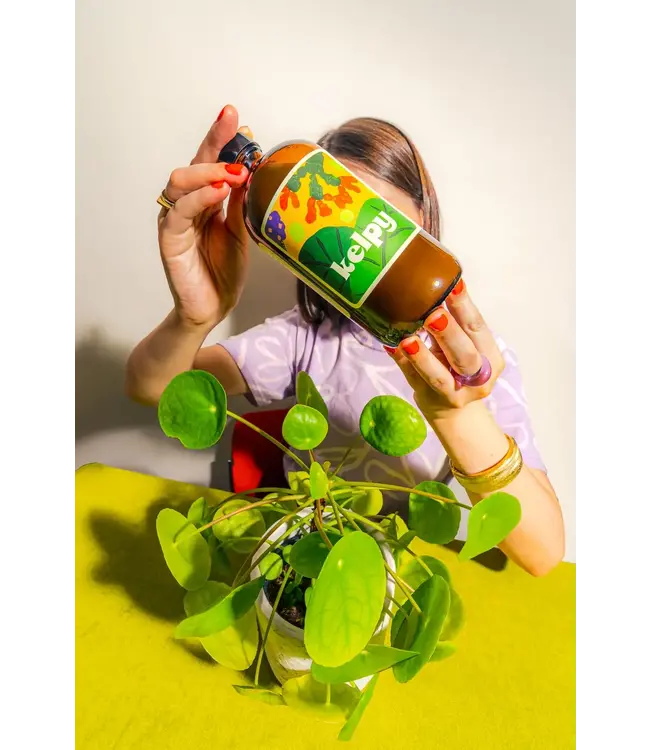 Kelpy Plant Food Large Size 500 Ml/ 16.8 oz