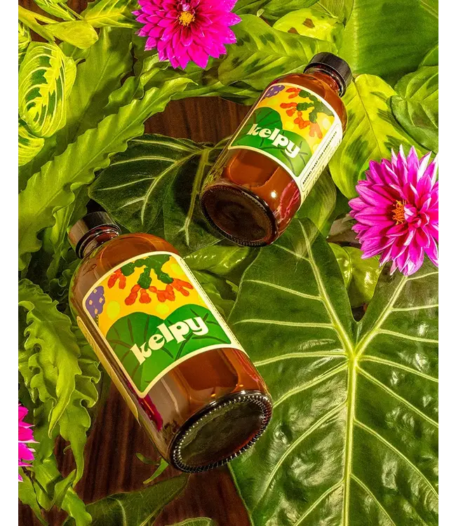 Kelpy Plant Food Large Size 500 Ml/ 16.8 oz