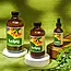 Kelpy Plant Food Large Size 500 Ml/ 16.8 oz