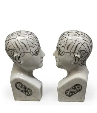 McGowan & Rutherford Ltd Antiqued Ceramic Phrenology Head Bookends