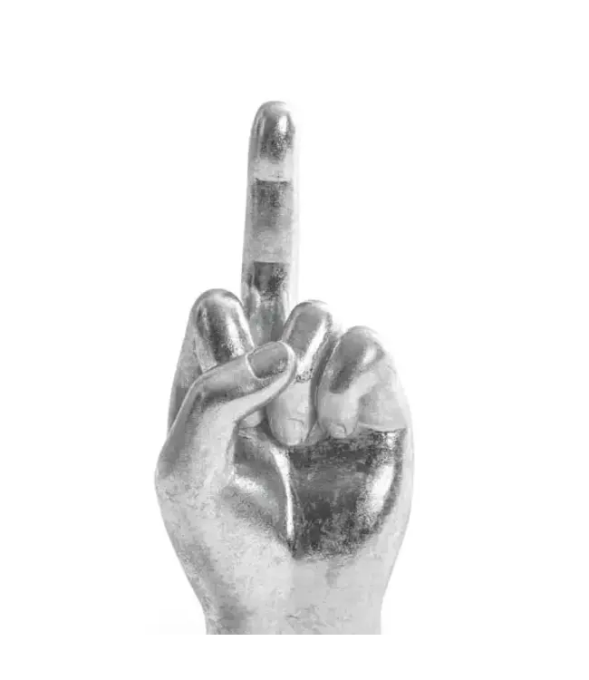 Middle Finger Up: Your New Favorite Decor!