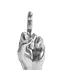 Middle Finger Up: Your New Favorite Decor!