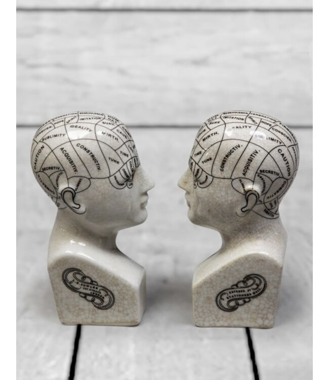 Mind Over Matter: Quirky Phrenology Bookends