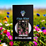 Enchanting Black Cat Tarot Pin: Purr-fectly Mystical!
