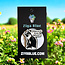 Purrfectly Proud: Lesbian Eat What? Enamel Pin