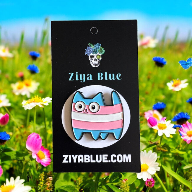 Purr-fectly Proud: Kawaii Trans Cat Enamel Pin