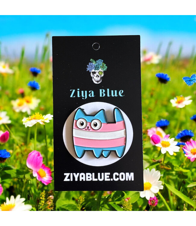 Purr-fectly Proud: Kawaii Trans Cat Enamel Pin