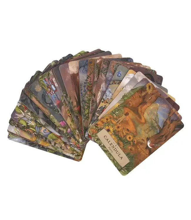 The Herbal Astrology Oracle Cards