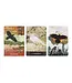 Urban Crow Oracle Cards