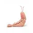 Sheldon Shrimp