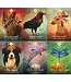 The Spirit Animal Oracle Cards