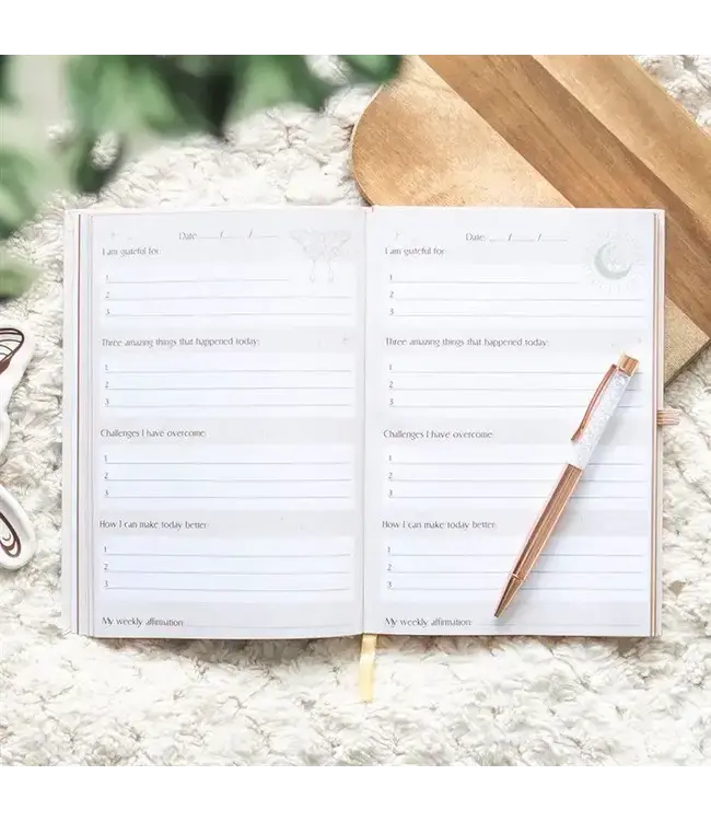 Luna Moth Daily Reflection Journal with Clear Quartz Pen