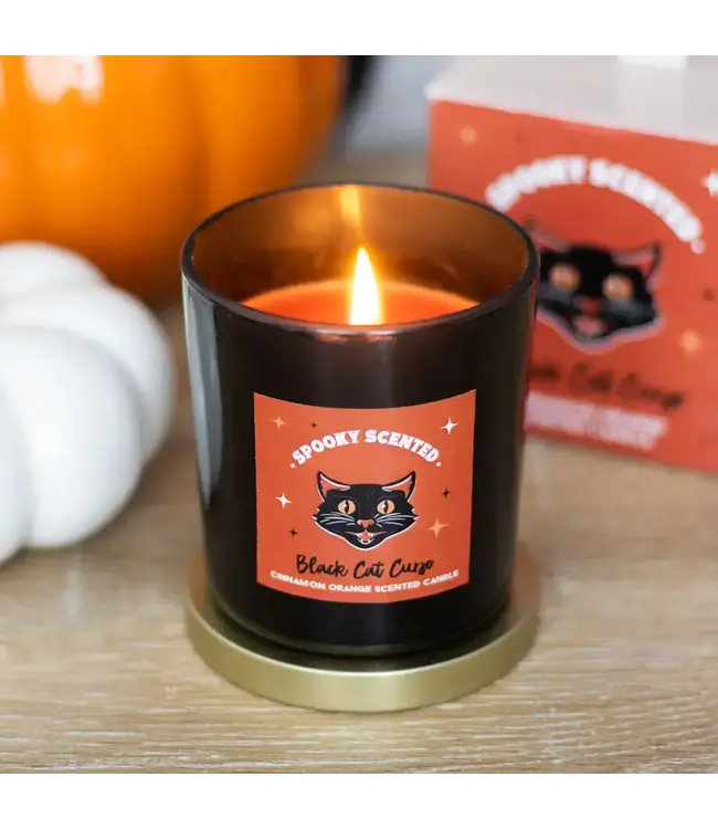 Black Cat Curse Cinnamon Orange Halloween Candle