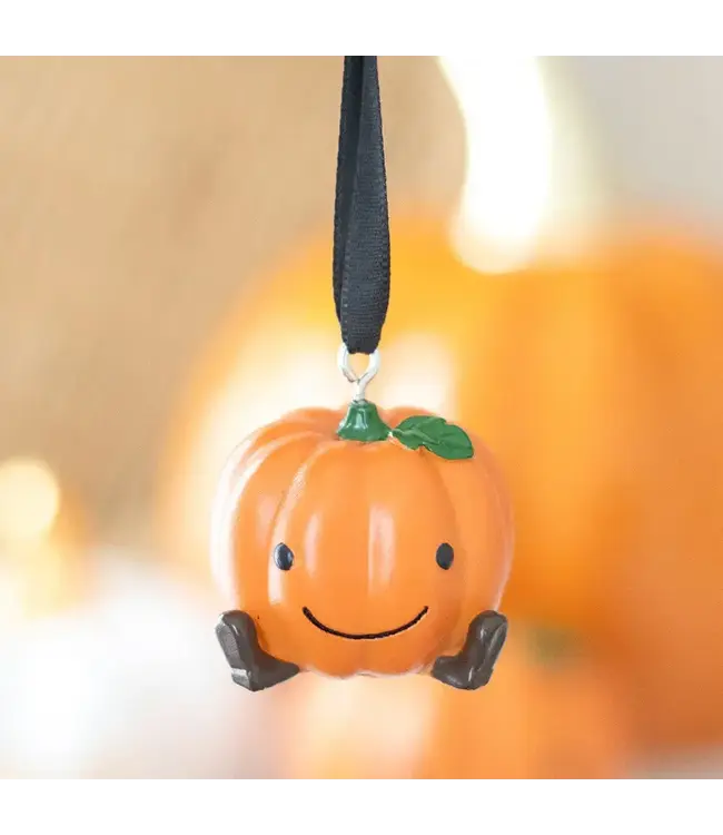 Cute Pumpkin Hanging Autumn and Fall Ornament