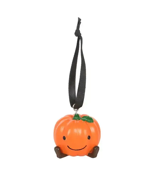 Cute Pumpkin Hanging Autumn and Fall Ornament