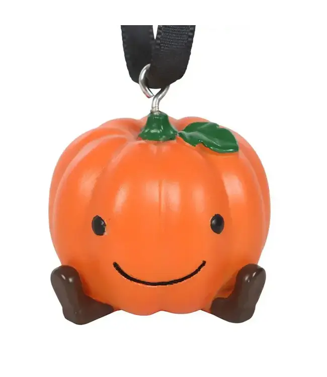Cute Pumpkin Hanging Autumn and Fall Ornament