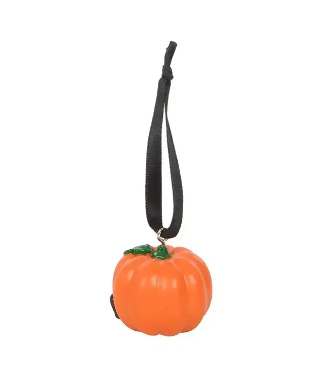 Cute Pumpkin Hanging Autumn and Fall Ornament