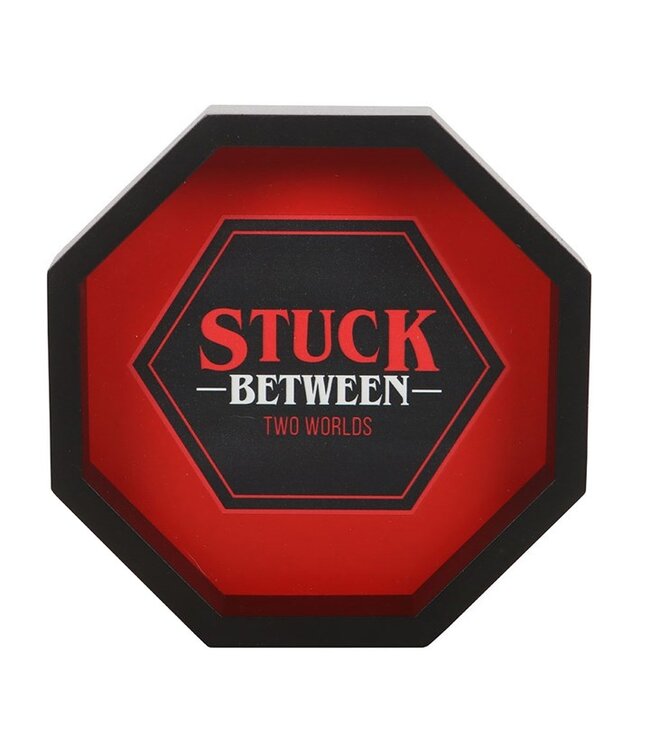 Stuck Between Two Worlds Dice Tray