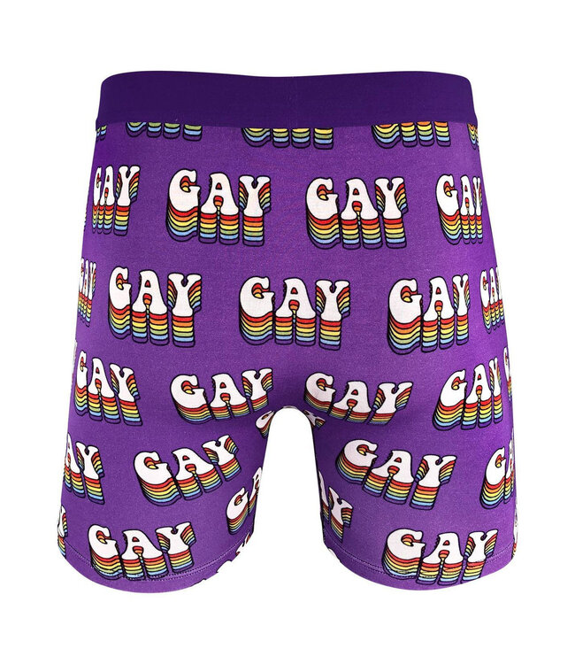 Men's Gay Underwear