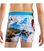 Men's Bob Ross, Happy Mountain Underwear