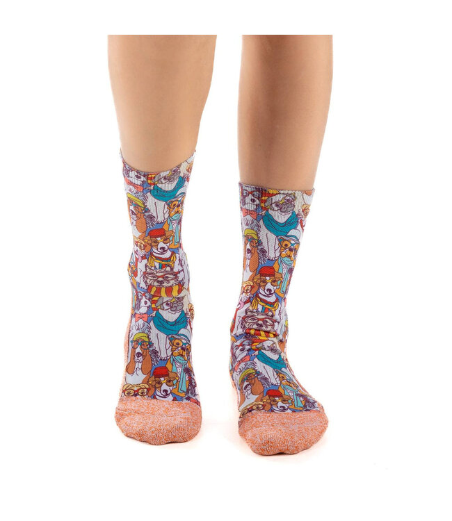 Pawsitively Fun: Women's Hipster Dog Socks!